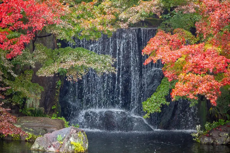 🌳 코코엔 정원(코코엔) 이미지 6